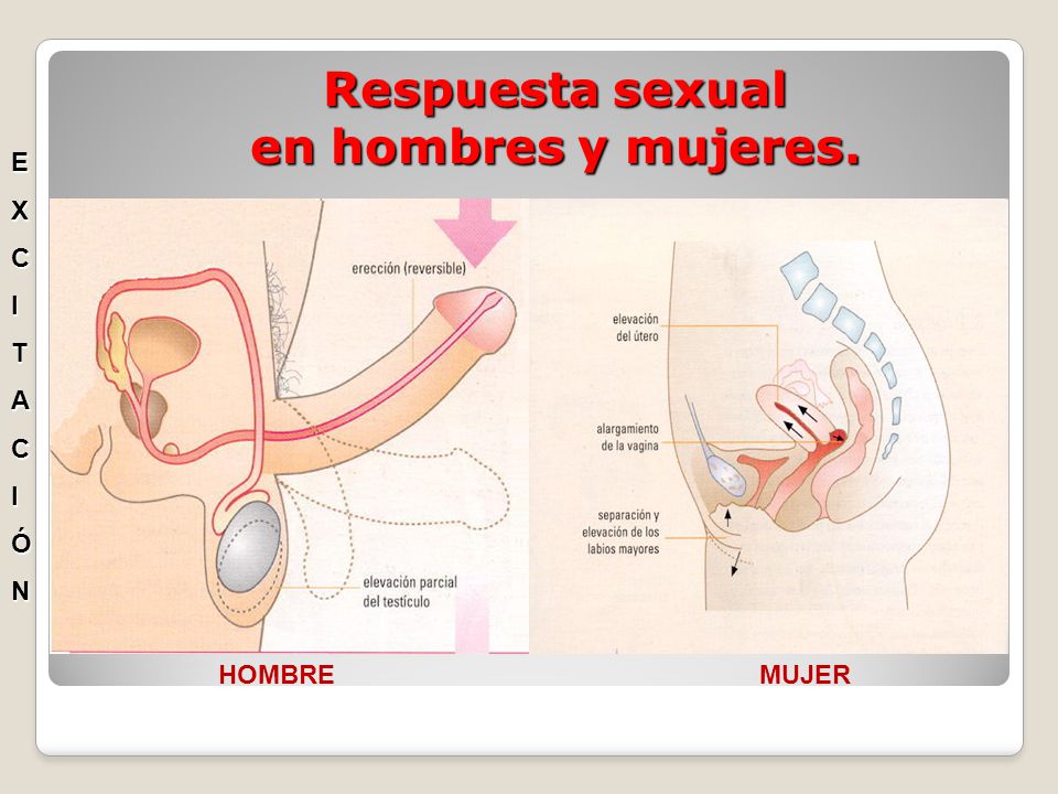 fotografía de erección femenina